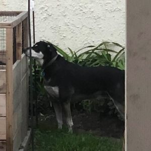 Meet your Posher, Judith